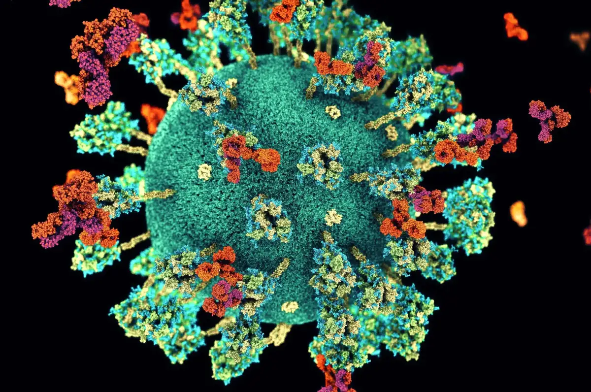 Innovation will provide solutions to Long COVID — the new chronic disease of our time - 4