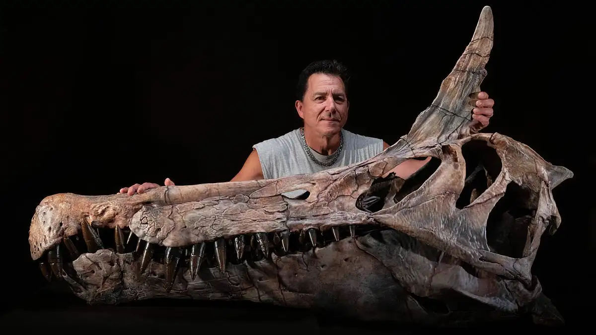 Mysterious new species from 95 million years ago may have been world's first 'dragon' - 1