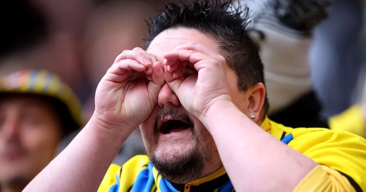 Spygate panel disagree as Southampton, Middlesbrough and Hull await play-off outcome - 4