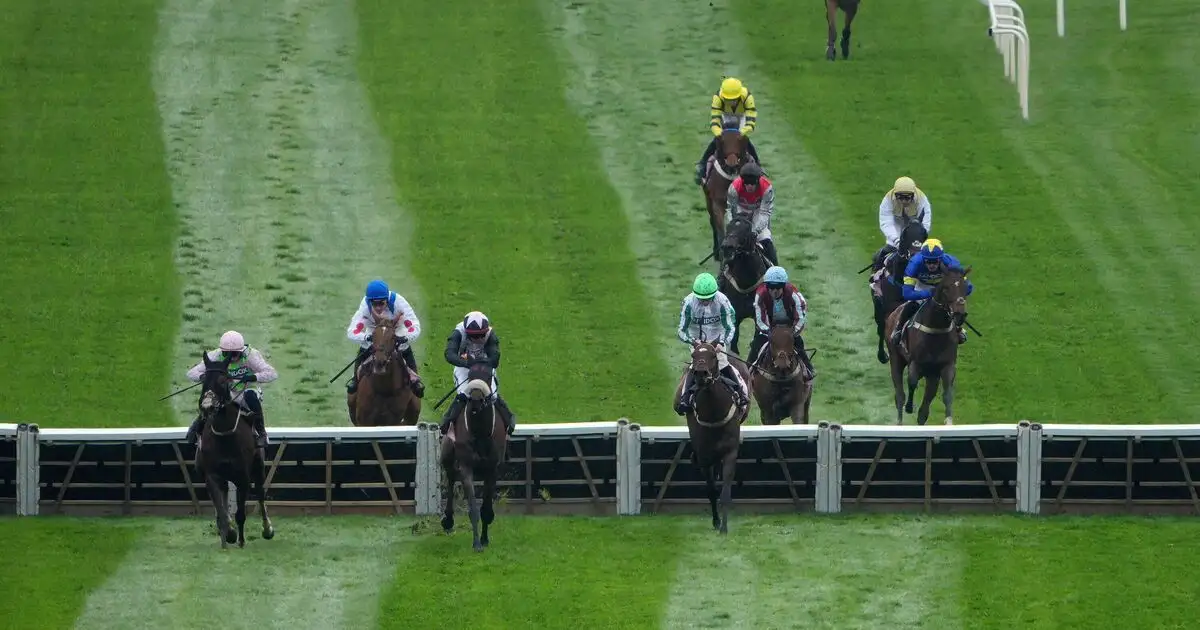 Grey Dawning sees off Solness in thrilling Melling Chase - 1