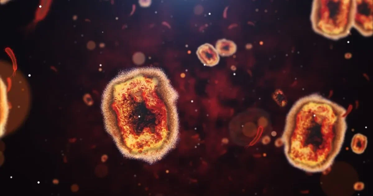 New recombinant mpox strain detected in UK and India, WHO urges continued monitoring - UN News - 4