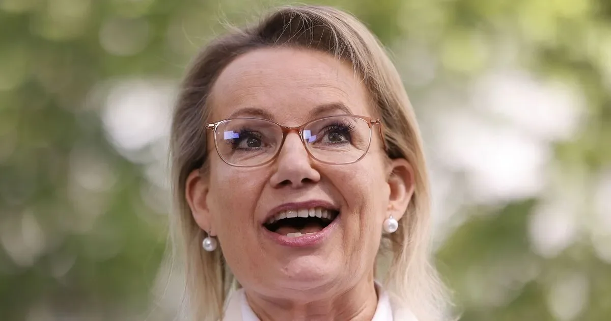 Ley’s shadow immigration minister ‘never agreed’ to unreleased Liberal plan to ban migrants from Gaza and Somalia - 1