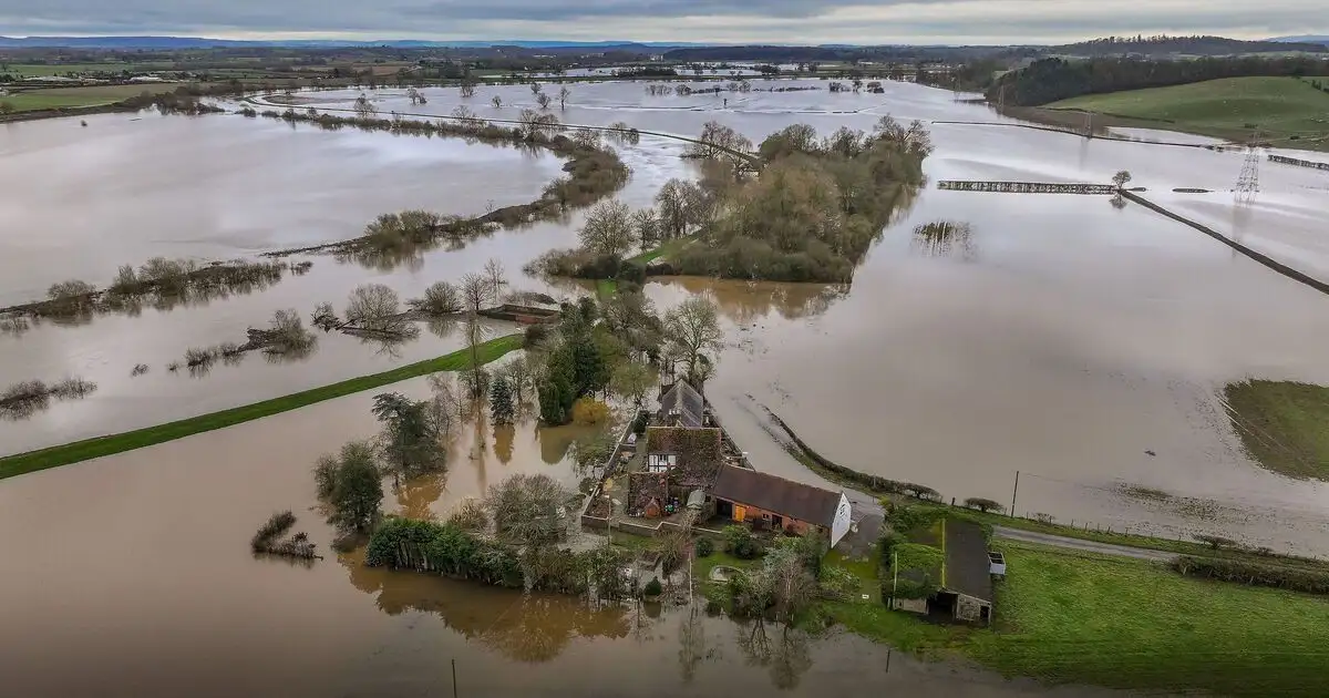 How a SUPER El Niño could impact the UK: Experts warn the unusual climate pattern could push Britain's temperatures to record highs this summer - 4