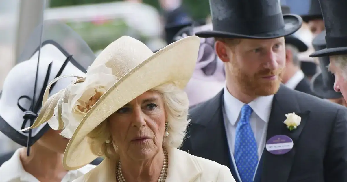 Queen Camilla Allegedly Warns Kate Middleton 'We're Not Going Anywhere' After US Tour Success - 1
