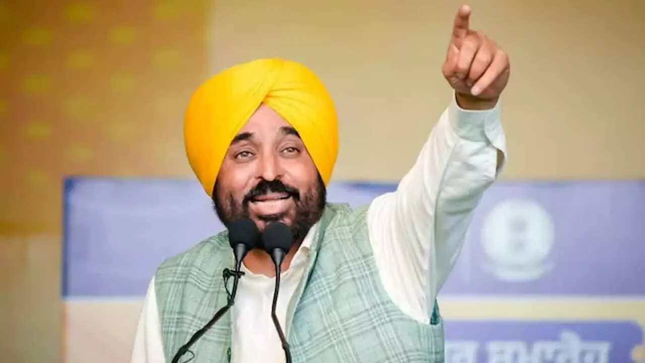 Rumours being spread about LPG shortage, says Punjab CM Mann - 4