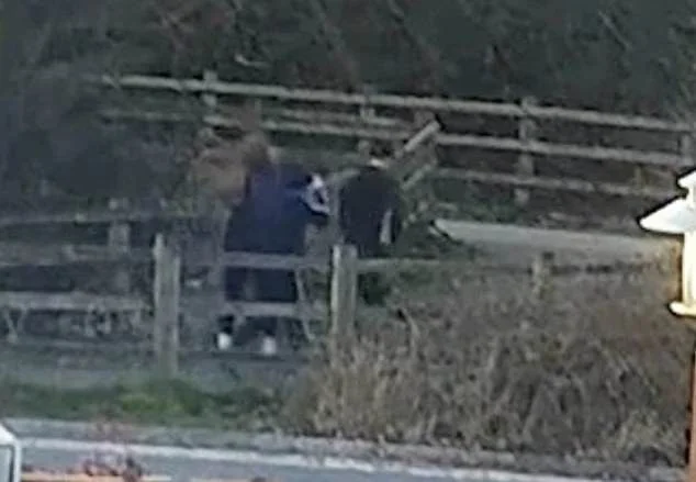 Driver was paid just £15 to transport crime gang who shot dead innocent mother-of-four on her doorstep - 1