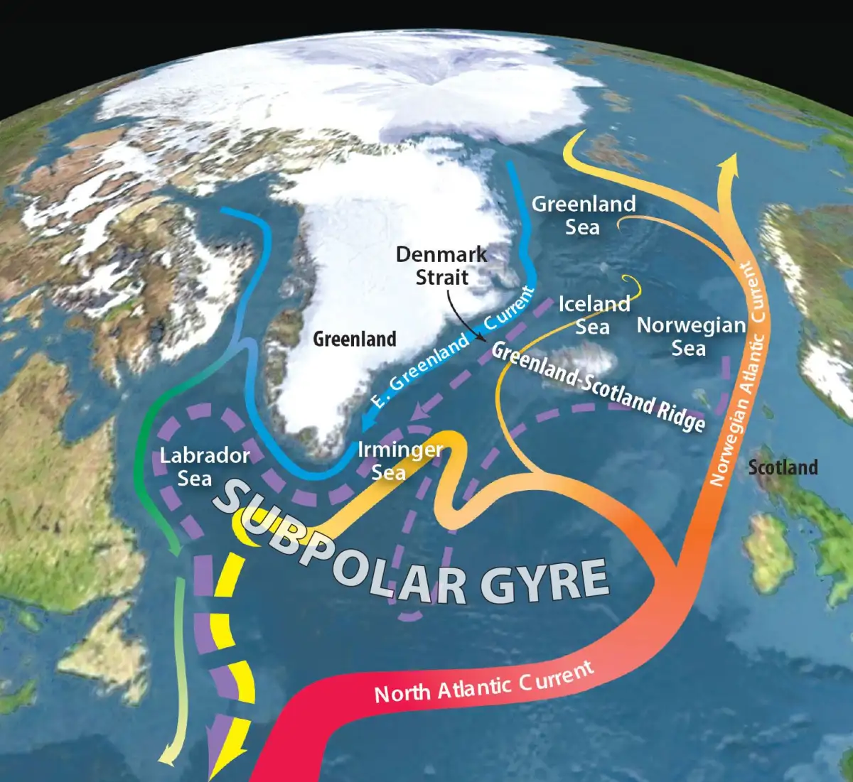 Ancient Atlantic warming points to how oceans may lock away heat for centuries - 3