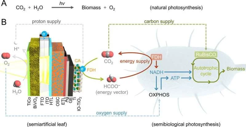 Integrated solar reactor paves way to make 'clean' chemicals, plastics and food using solar energy - 1