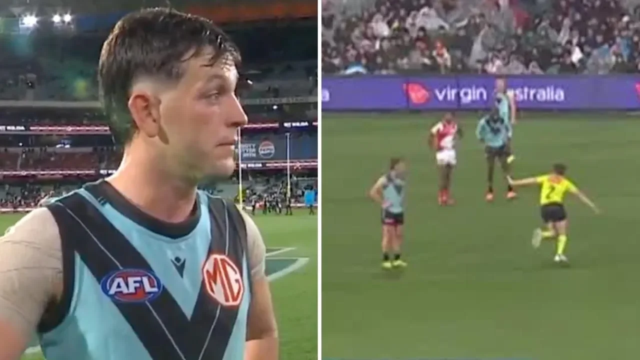 ‘How much are they paying you?’: The alleged umpire abuse Butters must defend at AFL tribunal - 2