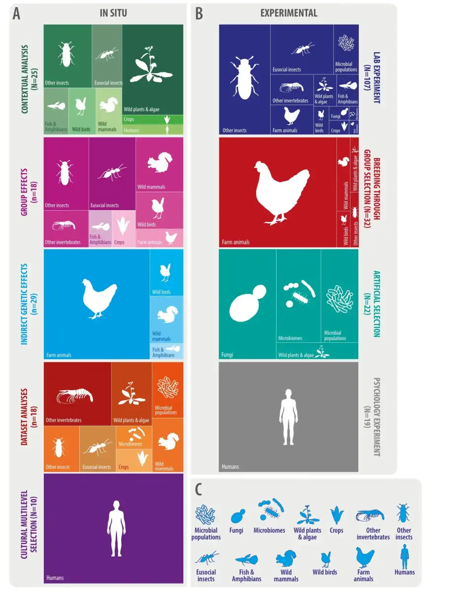 Natural selection can work at many levels, from molecules to ecosystems - 3