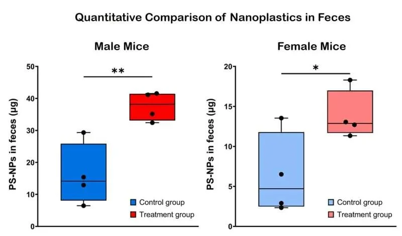 Kimchi-derived probiotic found to promote binding and excretion of intestinal nanoplastics - 1