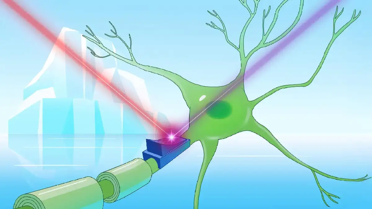 Proteins that create ice inspire 'cool' applications, from cryomedicine to artificial snow - 1