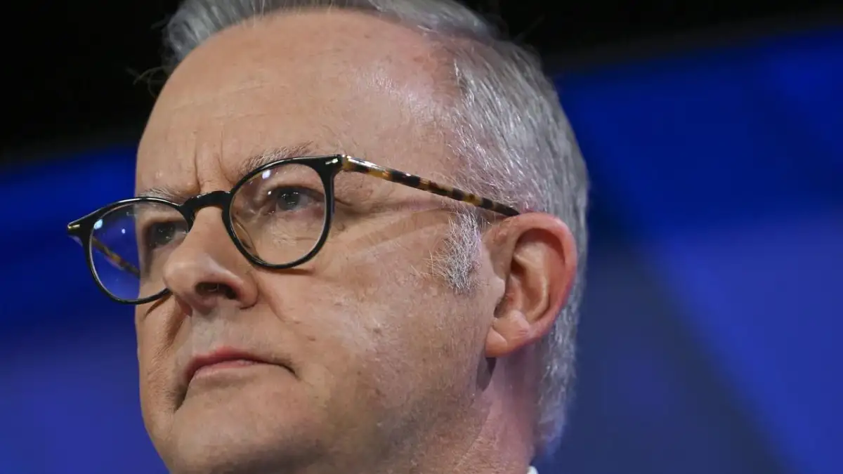 Anthony Albanese sparks howls from MPs as he defends his property tax crackdown by bringing up how he grew up in housing commission to a single mum - 4