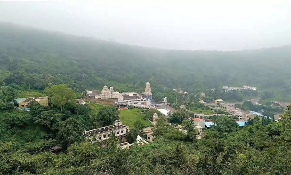 Devotees will be allowed darshan from 3 a.m. for annual Chandanotsavam at Simhachalam temple - 4