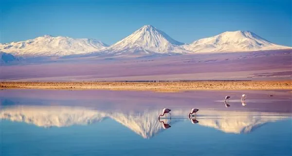 Hot Chili stacks shallow high-grade copper hits in Chile - 2