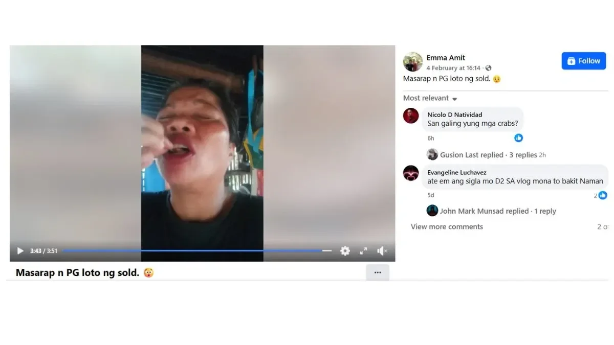 What Is Devil Crab? The Deadly Crustacean Linked to Food Vlogger Emma Amit's Death - 1