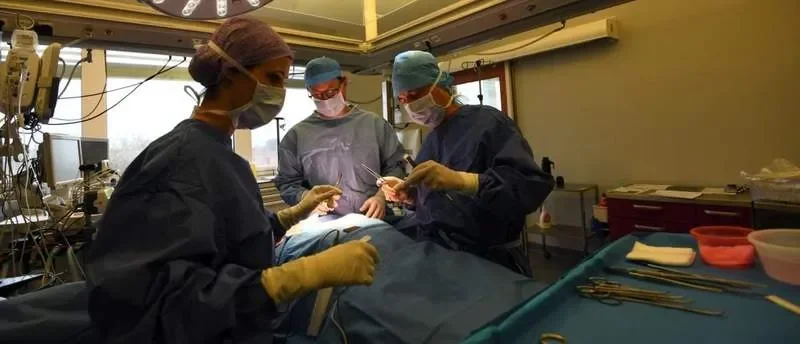 Florida doctor indicted, accused of removing patient's wrong organ - 1