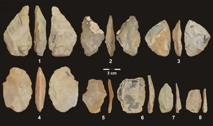 New genetic evidence from Stajnia Cave reveals the oldest Neanderthal group reconstructed in Central-Eastern Europe - 3