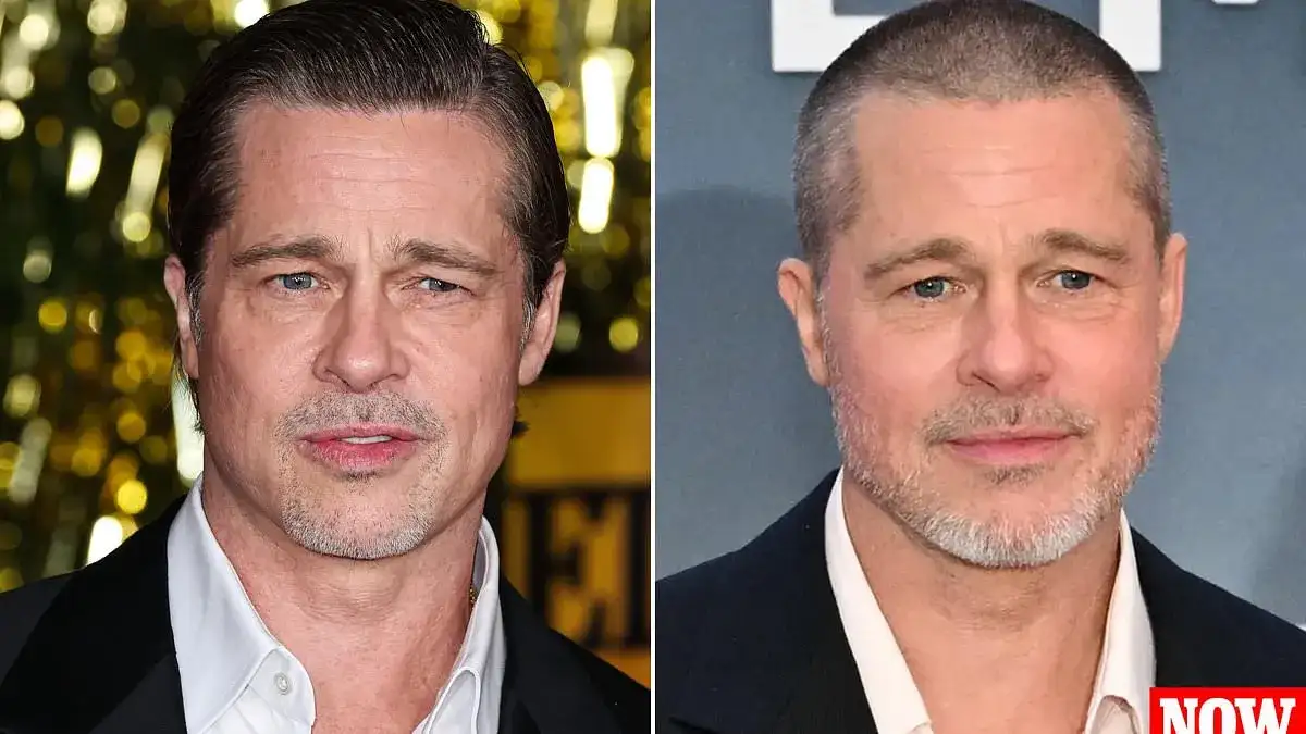 Did Brad Pitt Undergo Plastic Surgery? Top Surgeon Claims Star Had 'Feminising' Surgery to Keep Youthful Look - 2