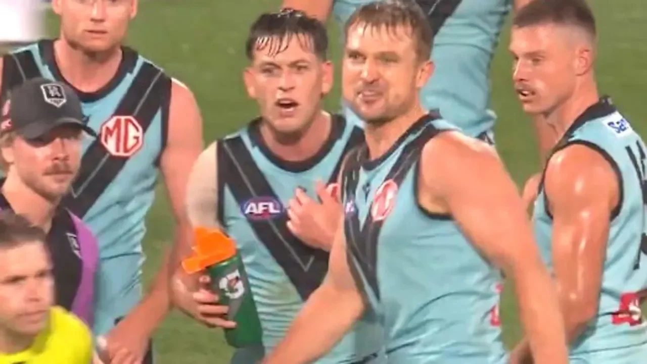 ‘How much are they paying you?’: The alleged umpire abuse Butters must defend at AFL tribunal - 1