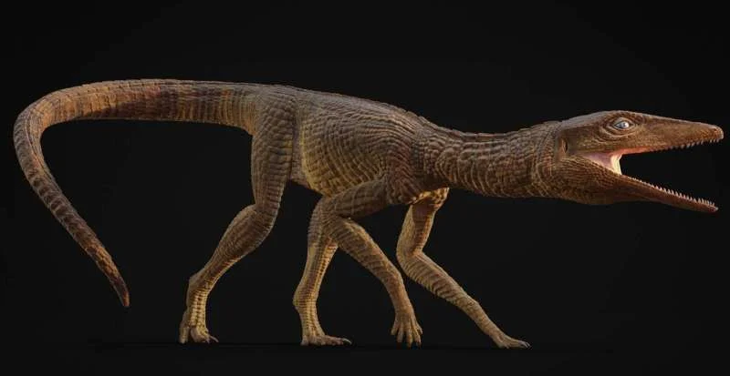 Ancient crocodile named Jones after 'inspirational' teacher - 1