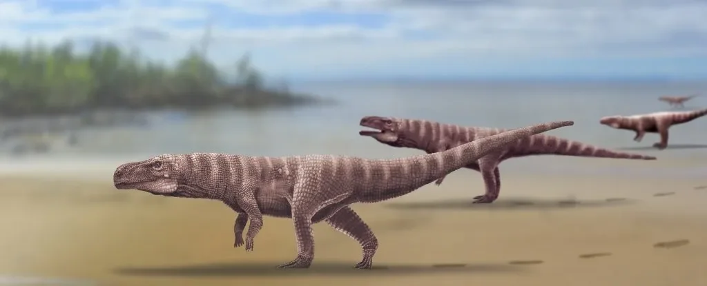 'Peculiar' crocodile ancestor started life on four legs before learning to walk on two - 1