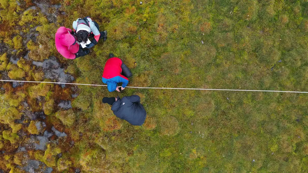 Arctic peatlands are expanding as temperatures continue to rise, new research confirms - 1