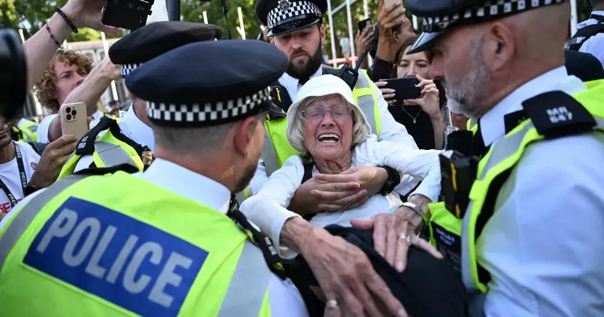 Arrested retirees ‘vindicated’ by ruling against Palestine Action proscription - 3