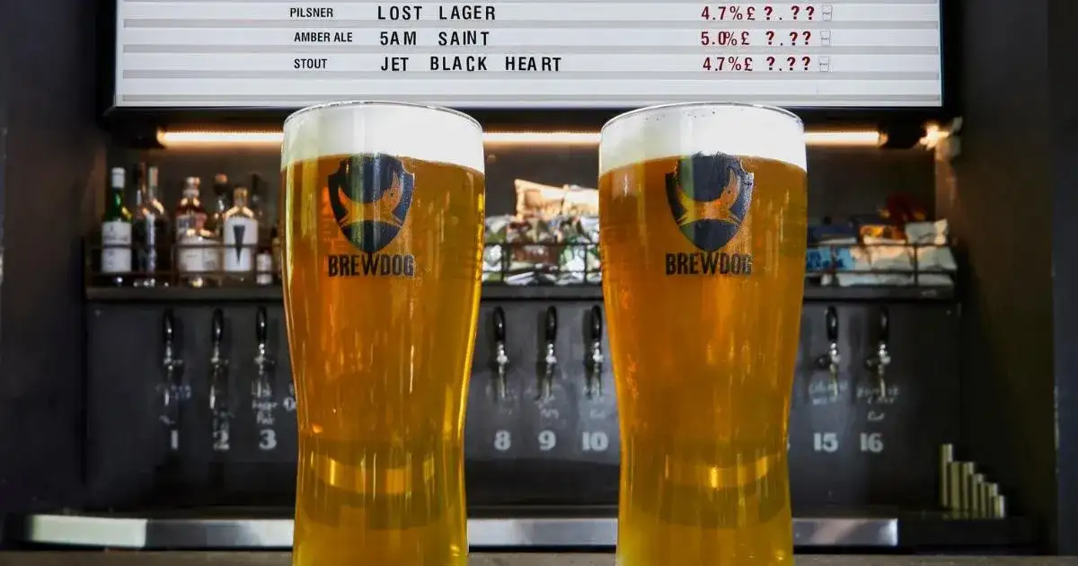 Scottish craft beer brand Brewdog put up for sale - 1