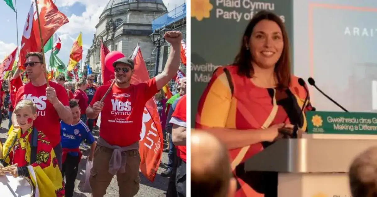 Welsh election not about independence, Plaid Cymru candidate says - 4