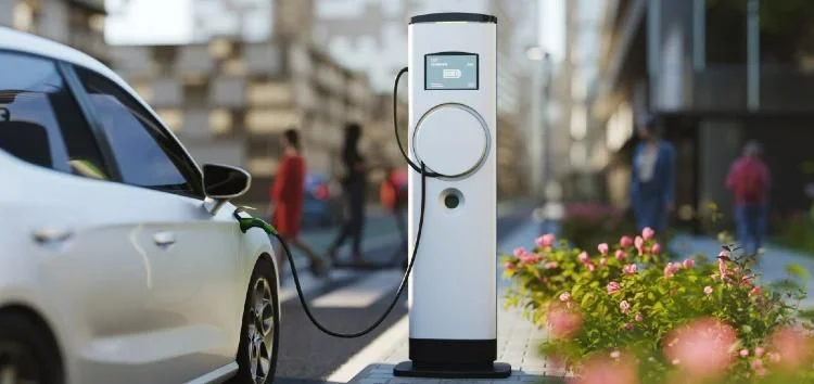 Sarytogan locks in European funds for Kazakh graphite push - 2