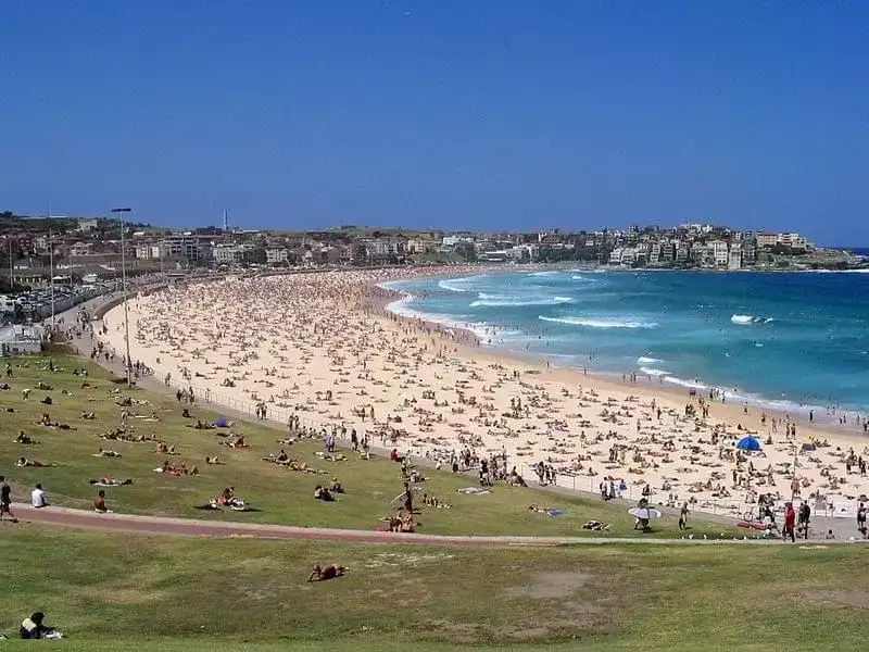 Bondi hero Ahmed Al Ahmed's brothers face court after they allegedly demanded $200,000 from him - 1