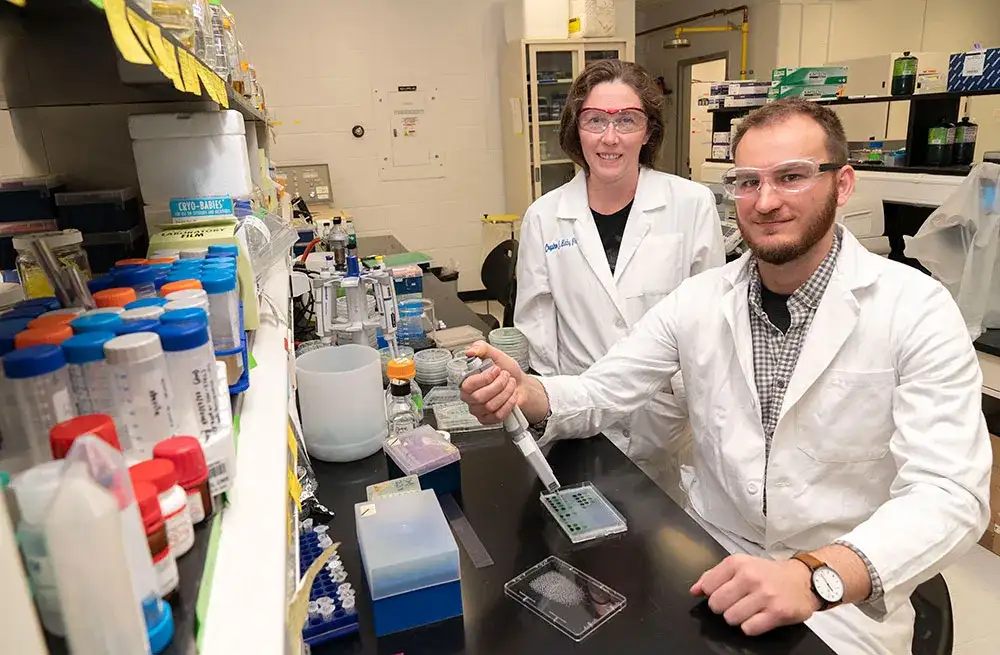 Zinc is a metal essential to life – scientists have discovered a protein that helps keep cells alive when zinc levels are low - 1