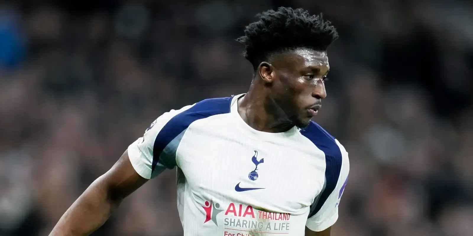 Spurs dealt HUGE injury blow in bid to avoid the drop as Xavi Simons is ruled out for the rest of the season - with 'heartbroken' Dutch star to miss World Cup after being taken off in win over Wolves - 1