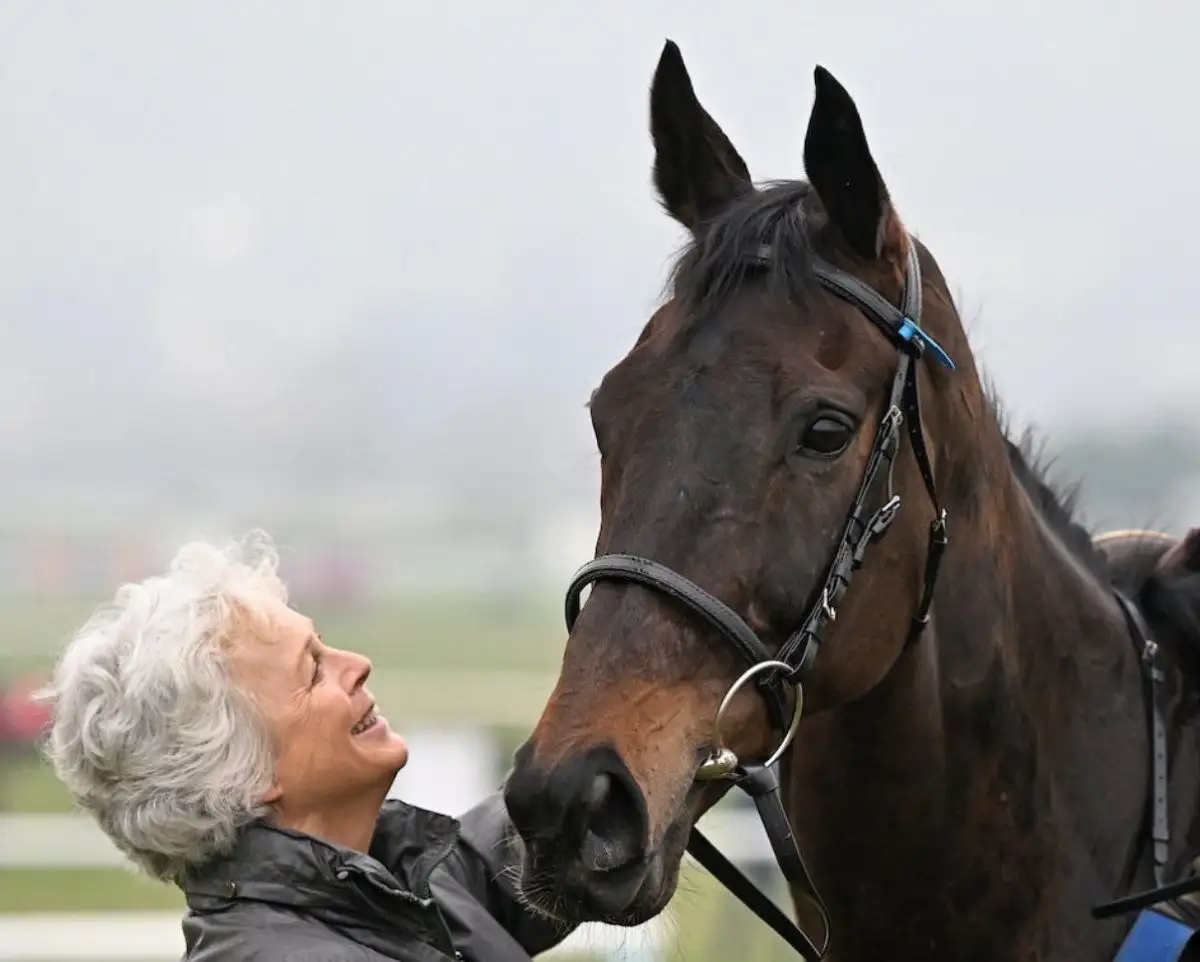 Il Etait Temps rules supreme with Punchestown-Cheltenham double - 2