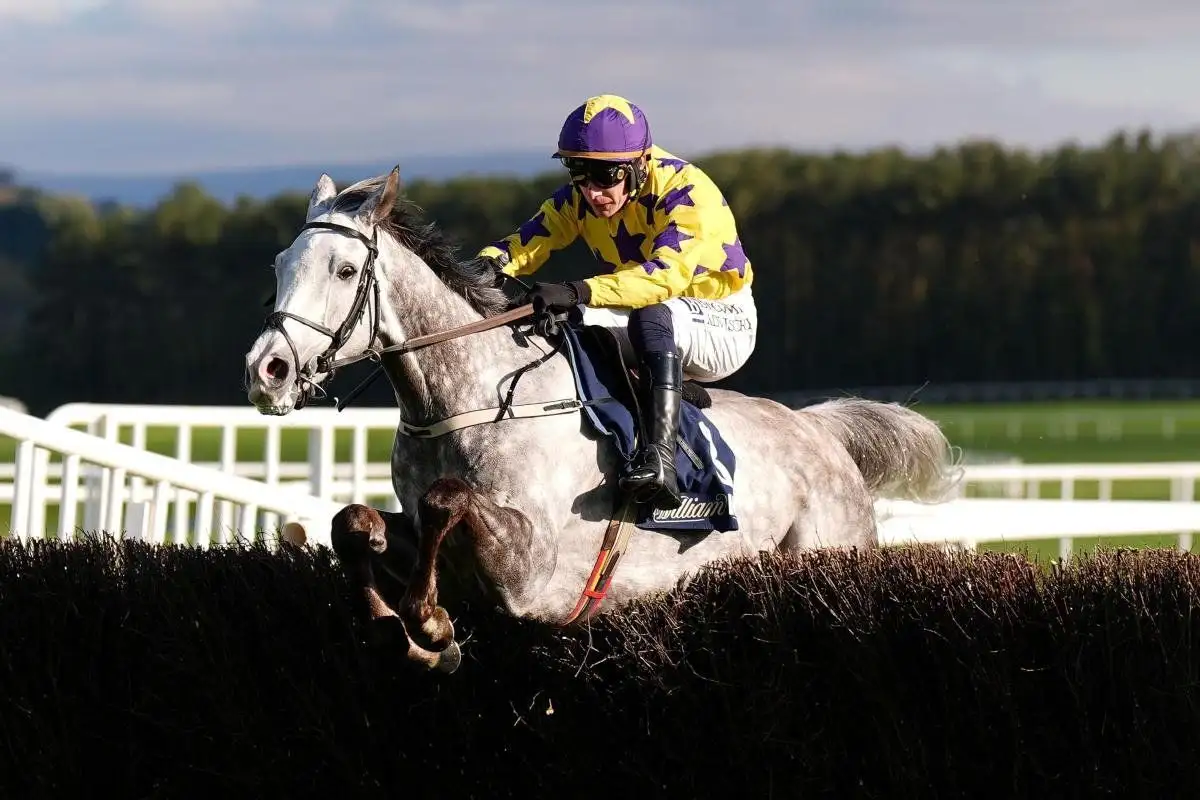 Il Etait Temps rules supreme with Punchestown-Cheltenham double - 3
