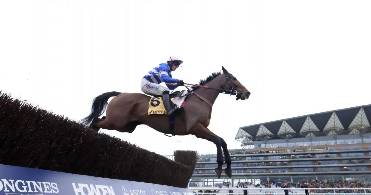 Pic D'orhy fancied to upstage Jonbon to claim Ascot three-peat - 4