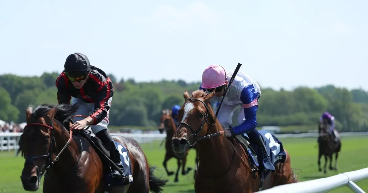Maltese Cross books Derby ticket with Lingfield victory - 1