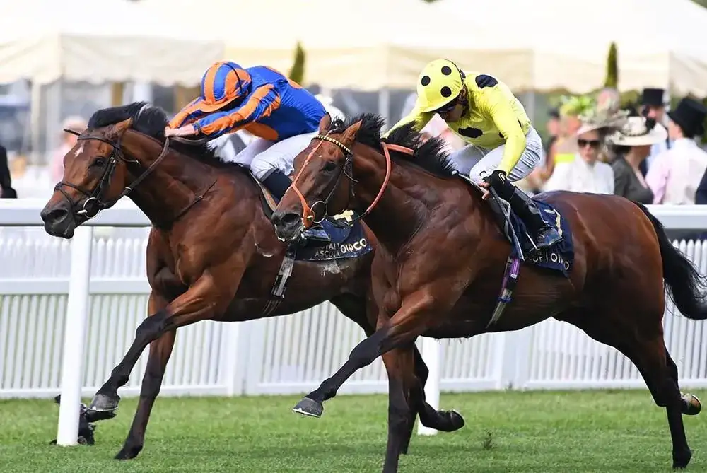 Weekend Winners: Sahlan fancied to make his mark in the Lockinge - 2