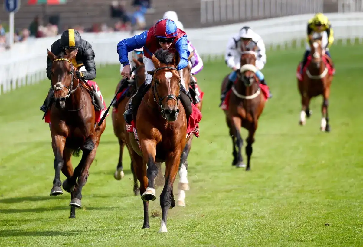 Moore and O’Brien continue Chester dominance as Jan Brueghel bags Ormonde - 1