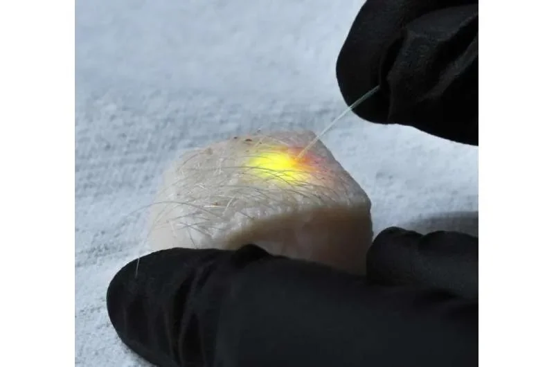 Tiny flexible lasers enable force sensing inside living cells - 3
