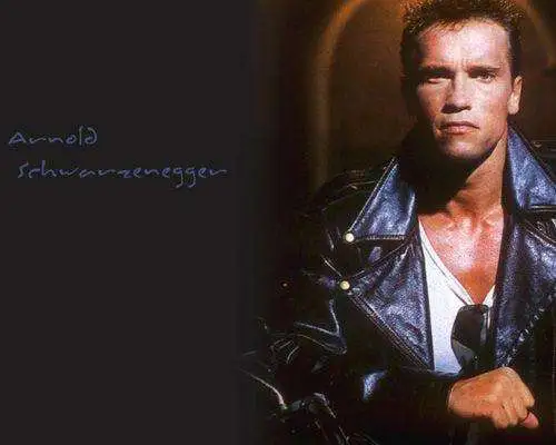 Arnold Schwarzenegger in talks for sequels of his most famous action film franchises - 3