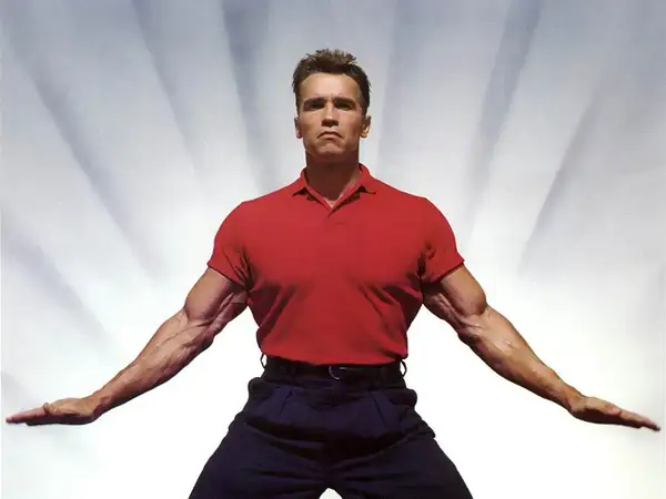 Arnold Schwarzenegger in talks for sequels of his most famous action film franchises - 2
