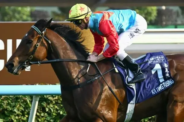 Hong Kong superstar Ka Ying Rising extends winning streak to 20 - 1