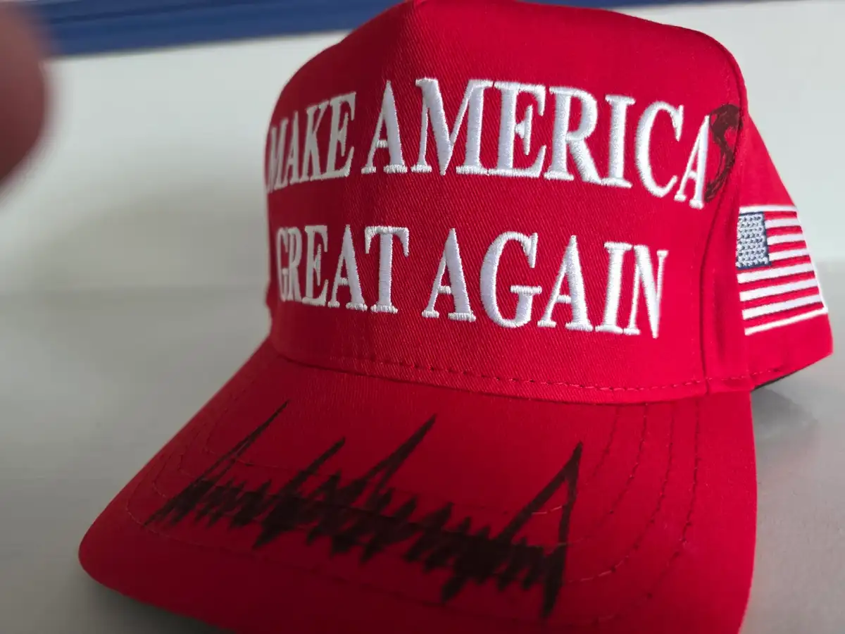 Medical student from India behind AI conservative influencer says ‘super dumb’ MAGA crowd was easy to fool - 3