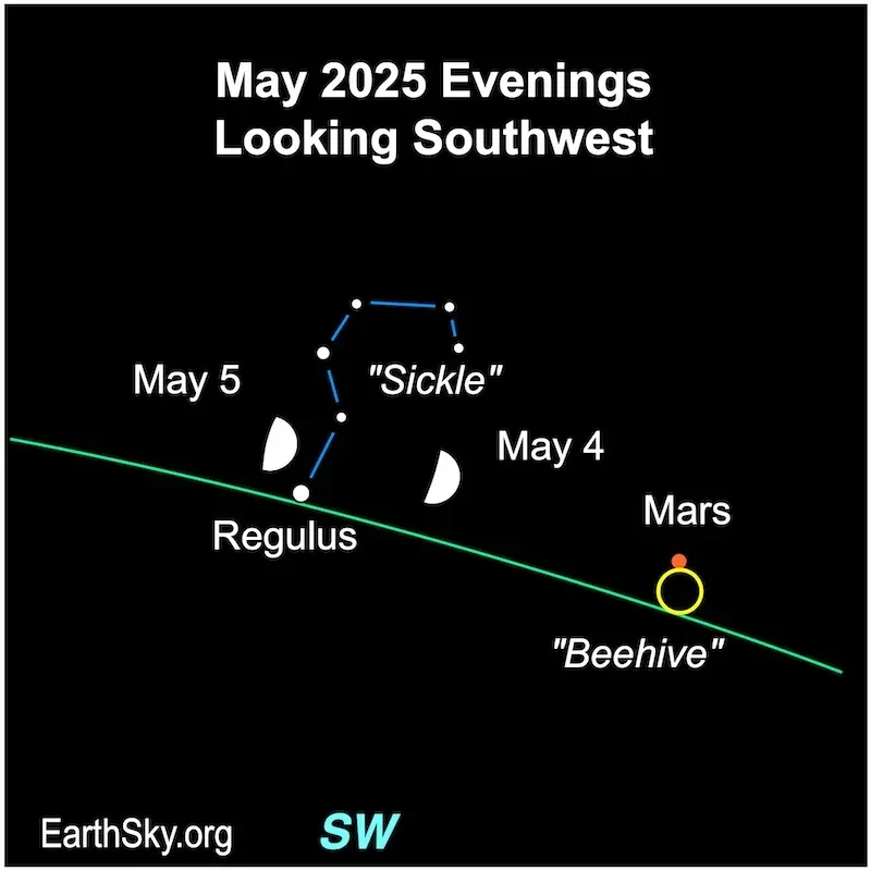 Starwatch: patience is needed to observe Cancer’s beehive cluster - 1