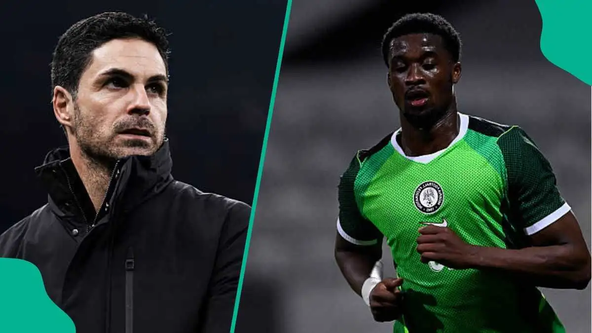 Report: Arsenal keen on move to sign Serie A defender - 3
