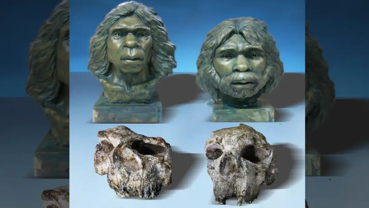 "Million-year-old" fossil skulls from China are far older—and not Denisovans - 2