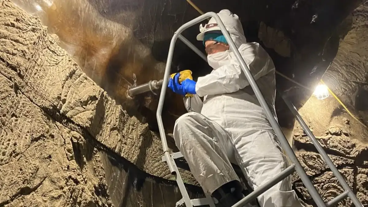 Thawing Arctic soil awakens only half of soil microbes, new study reveals - 1