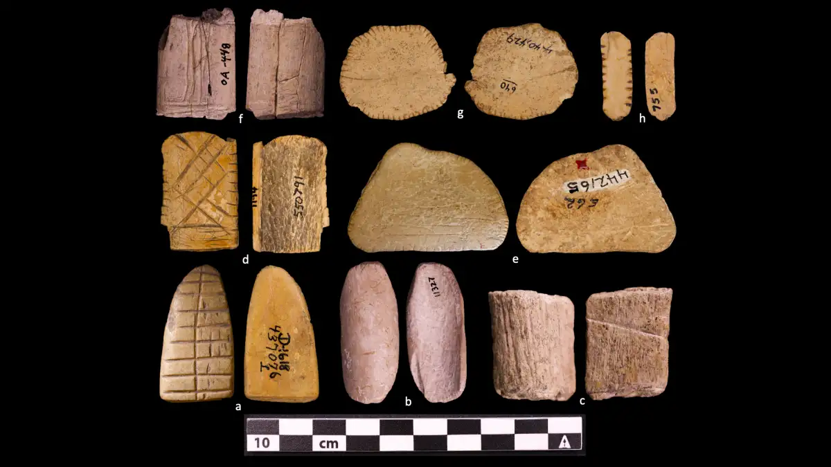 Caveman casino! Humans began gambling 12,000 YEARS ago, scientists say - as they discover ancient dice in the western Great Plains - 3